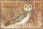 Short-eared Owl Asio flammeus  2001 Owls of the world Sheet