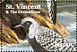 Grey Plover Pluvialis squatarola  2001 Shore birds Sheet