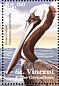 Brown Pelican Pelecanus occidentalis  2001 Shore birds  MS