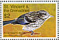 Arrowhead Warbler Setophaga pharetra  2007 Birds of the Caribbean Sheet