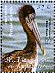 Brown Pelican Pelecanus occidentalis  2010 Overprint Haiti Earthquake.. on 2009.02 Sheet