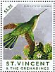 Grey-breasted Sabrewing Campylopterus largipennis  2013 Hummingbirds Sheet