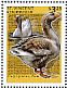 Greylag Goose Anser anser  2014 Farm animals Sheet