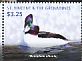 Bufflehead Bucephala albeola  2015 Ducks of the Caribbean Sheet