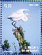 Great Egret Ardea alba  2015 Great Egret I Sheet