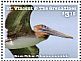 Brown Pelican Pelecanus occidentalis  2015 Birds Sheet