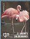 American Flamingo Phoenicopterus ruber  2015 Flamingos II Sheet