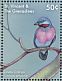 Lovely Cotinga Cotinga amabilis  2018 Colorful birds Sheet