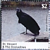 Black Vulture Coragyps atratus  2020 Black Vulture Sheet