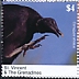Black Vulture Coragyps atratus  2020 Black Vulture Sheet