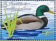 St Vincent & Grenadines 2019 Ducks Sheet