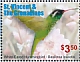 White-eared Hummingbird Basilinna leucotis  2019 Hummingbirds Sheet