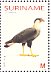 Crested Caracara Caracara plancus  2004 Birds Sheet