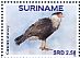 Crested Caracara Caracara plancus  2017 Birds Sheet