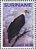 African Fish Eagle Icthyophaga vocifer