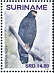 Andaman Serpent Eagle Spilornis elgini  2019 Eagles 2x12v sheet