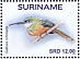 Rufous-tailed Jacamar Galbula ruficauda