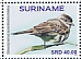 Crowned Slaty Flycatcher Griseotyrannus aurantioatrocristatus