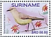 Cattle Tyrant Machetornis rixosa
