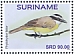 Lesser Kiskadee Philohydor lictor