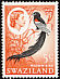 Long-tailed Widowbird Euplectes progne  1962 Definitives 