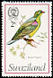 African Green Pigeon Treron calvus  1976 Birds 