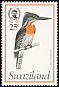 Giant Kingfisher Megaceryle maxima