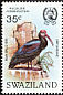 Southern Bald Ibis Geronticus calvus