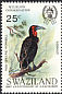 Southern Ground Hornbill Bucorvus leadbeateri