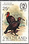 Southern Ground Hornbill Bucorvus leadbeateri