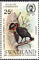 Southern Ground Hornbill Bucorvus leadbeateri