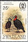 Southern Ground Hornbill Bucorvus leadbeateri