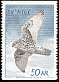 Gyrfalcon Falco rusticolus