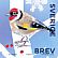 European Goldfinch Carduelis carduelis