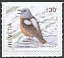 Common Rock Thrush Monticola saxatilis