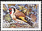 European Goldfinch Carduelis carduelis  1989 Birds 