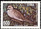European Turtle Dove Streptopelia turtur  1989 Birds 