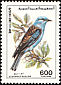 European Roller Coracias garrulus  1991 Birds 
