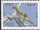 Eurasian Golden Oriole Oriolus oriolus