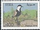 Spur-winged Lapwing Vanellus spinosus