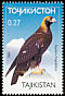 Golden Eagle Aquila chrysaetos  2001 Birds of prey 