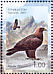 Golden Eagle Aquila chrysaetos  2007 Birds Sheet, stamps with coloured frames