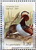 Mandarin Duck Aix galericulata  2007 Birds Sheet, stamps with coloured frames
