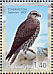 Saker Falcon Falco cherrug  2007 Birds Sheet, stamps with coloured frames