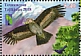 Common Buzzard Buteo buteo  2018 Nature reserve 2x4v sheet