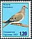 Mourning Dove Zenaida macroura