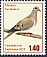 Mourning Dove Zenaida macroura
