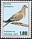 Mourning Dove Zenaida macroura