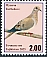 Mourning Dove Zenaida macroura