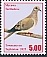 Mourning Dove Zenaida macroura